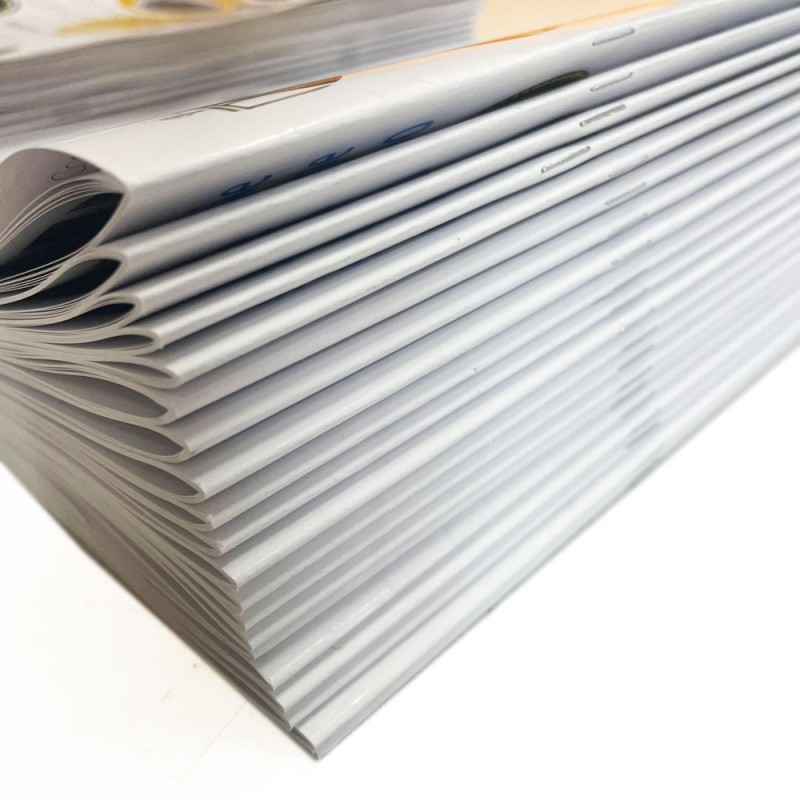 Opuscoli con punto metallico